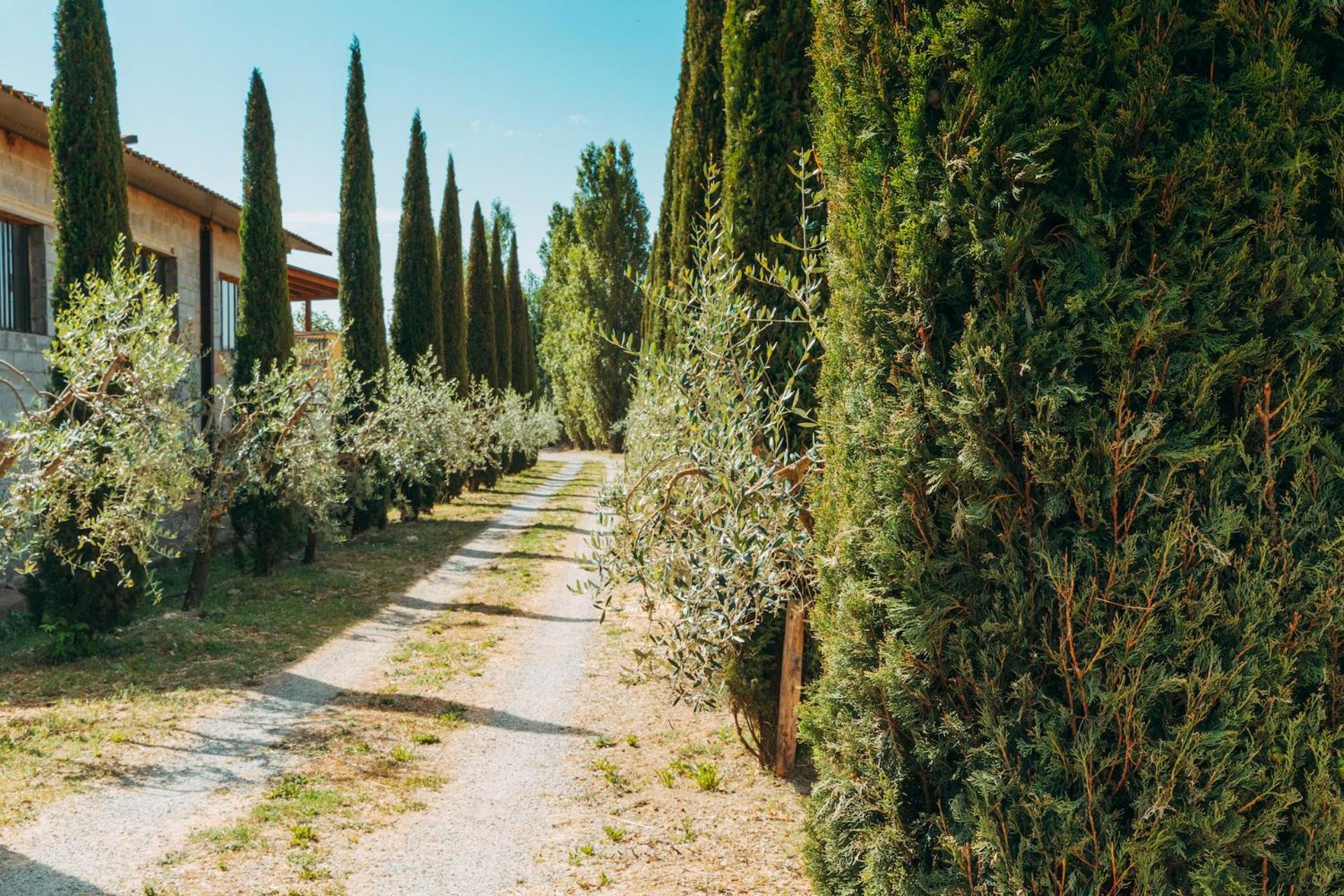 Agriturismo Il Borgo Кортона Екстер'єр фото