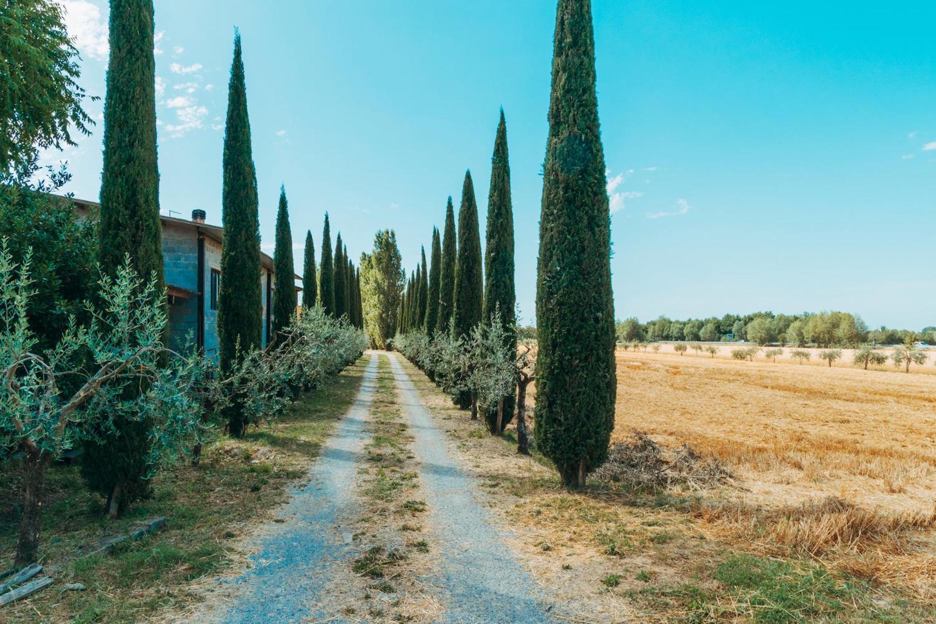 Agriturismo Il Borgo Кортона Екстер'єр фото
