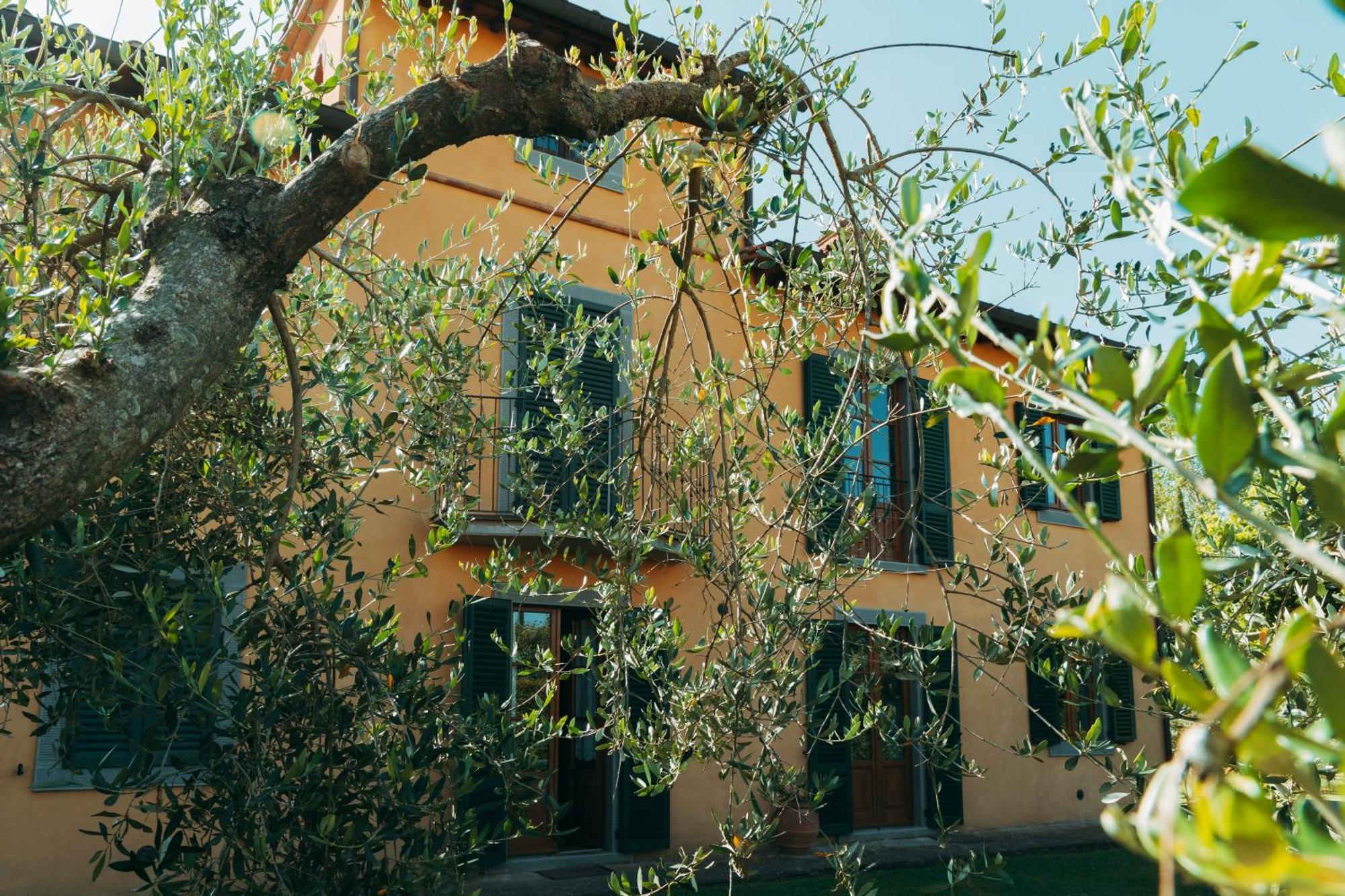 Agriturismo Il Borgo Кортона Екстер'єр фото